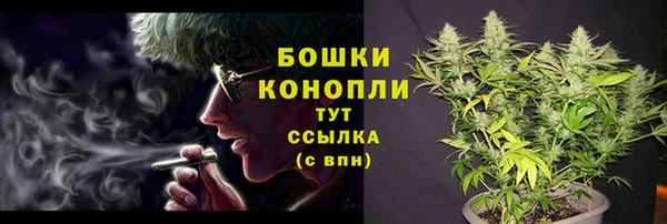 ПСИЛОЦИБИНОВЫЕ ГРИБЫ Алзамай