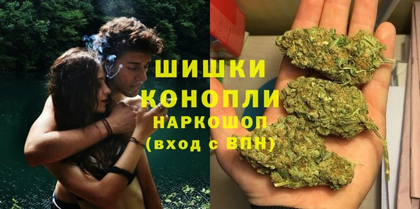 ПСИЛОЦИБИНОВЫЕ ГРИБЫ Алзамай