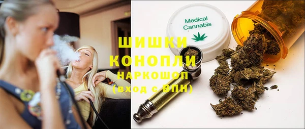 ПСИЛОЦИБИНОВЫЕ ГРИБЫ Алзамай